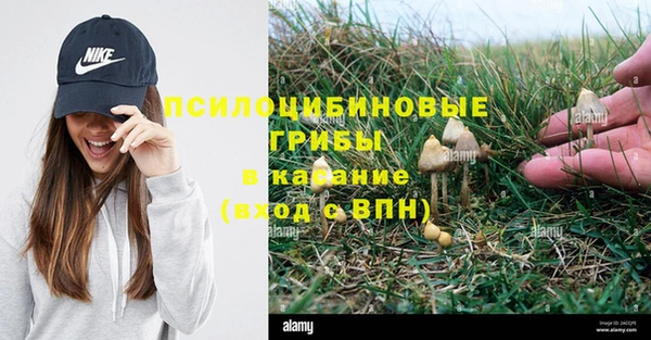 спиды Балабаново