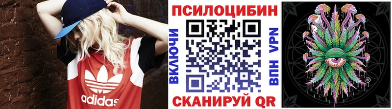 Псилоцибиновые грибы GOLDEN TEACHER  KRAKEN ссылки  Городище  дарнет шоп 